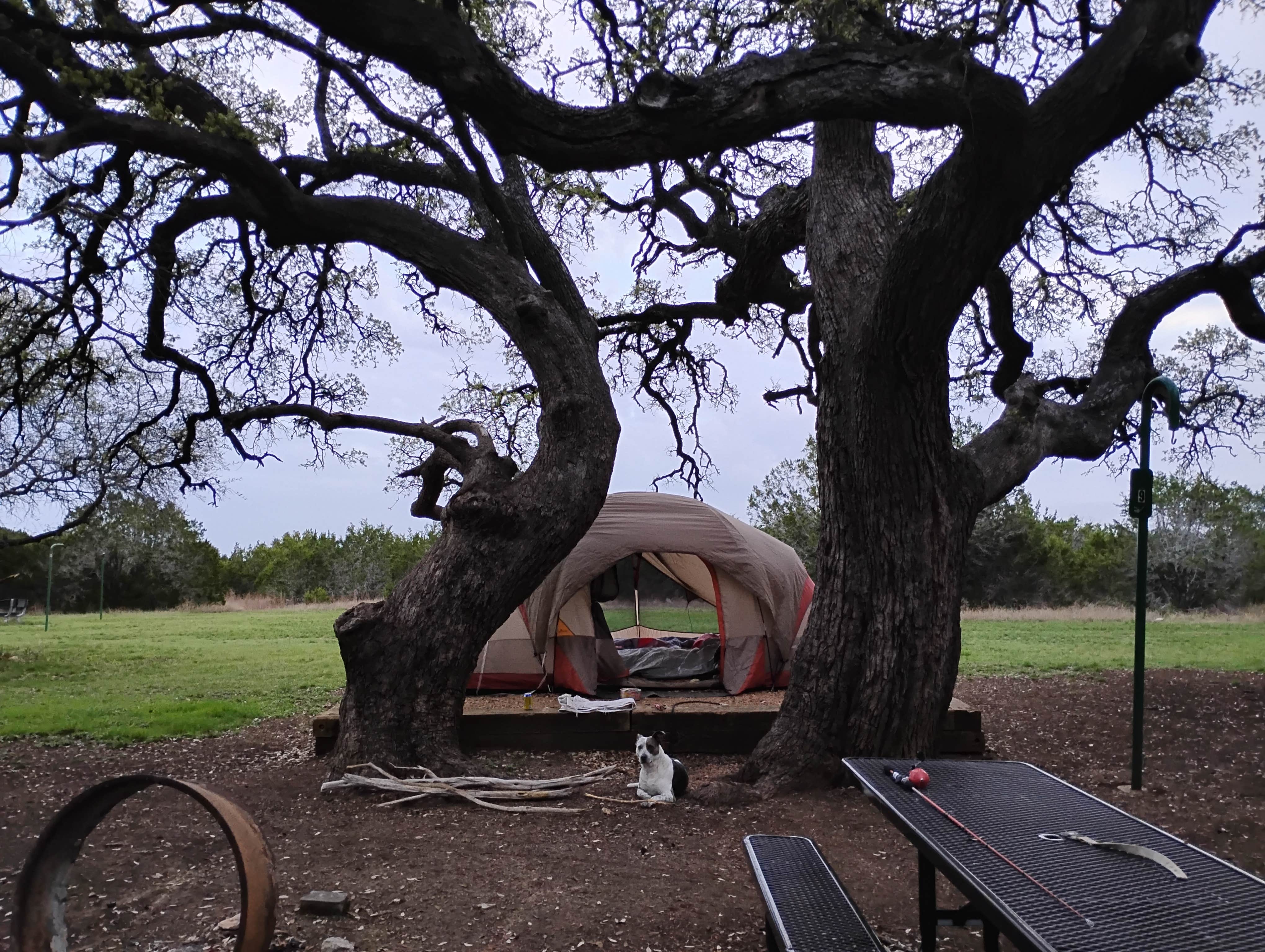 Julie K.'s photo of tent camping at Tejas Park near Horseshoe Bay, TX