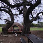 Review photo of Tejas Park by Julie K., March 13, 2026