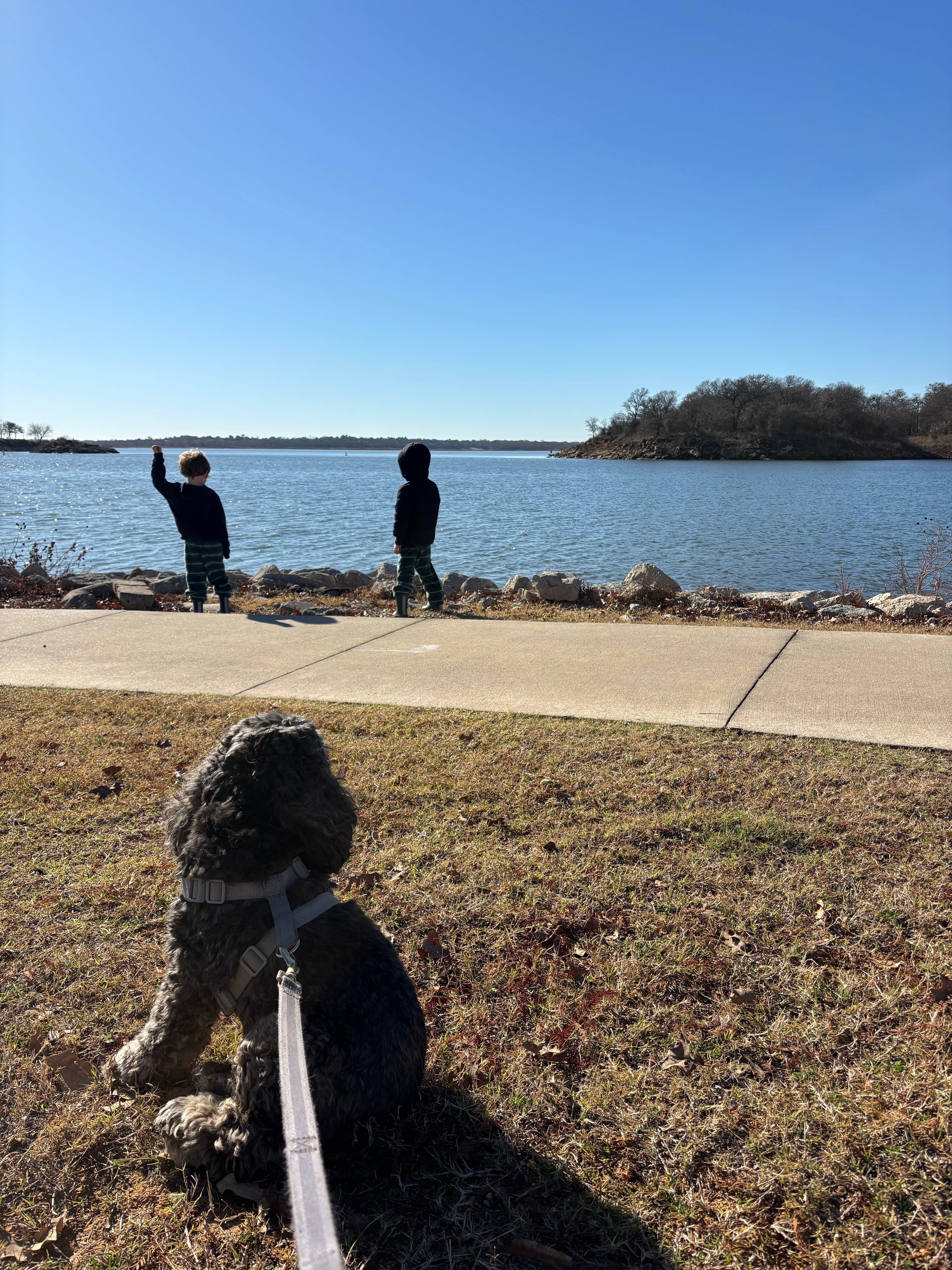 Camper-submitted photo at Twin Coves Park near Grapevine, TX