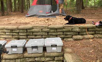 elizabeth L.'s photo at Tyler State Park Campground near Mineola, TX