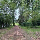 Review photo of Tyler State Park Campground by Bryan S., June 22, 2026