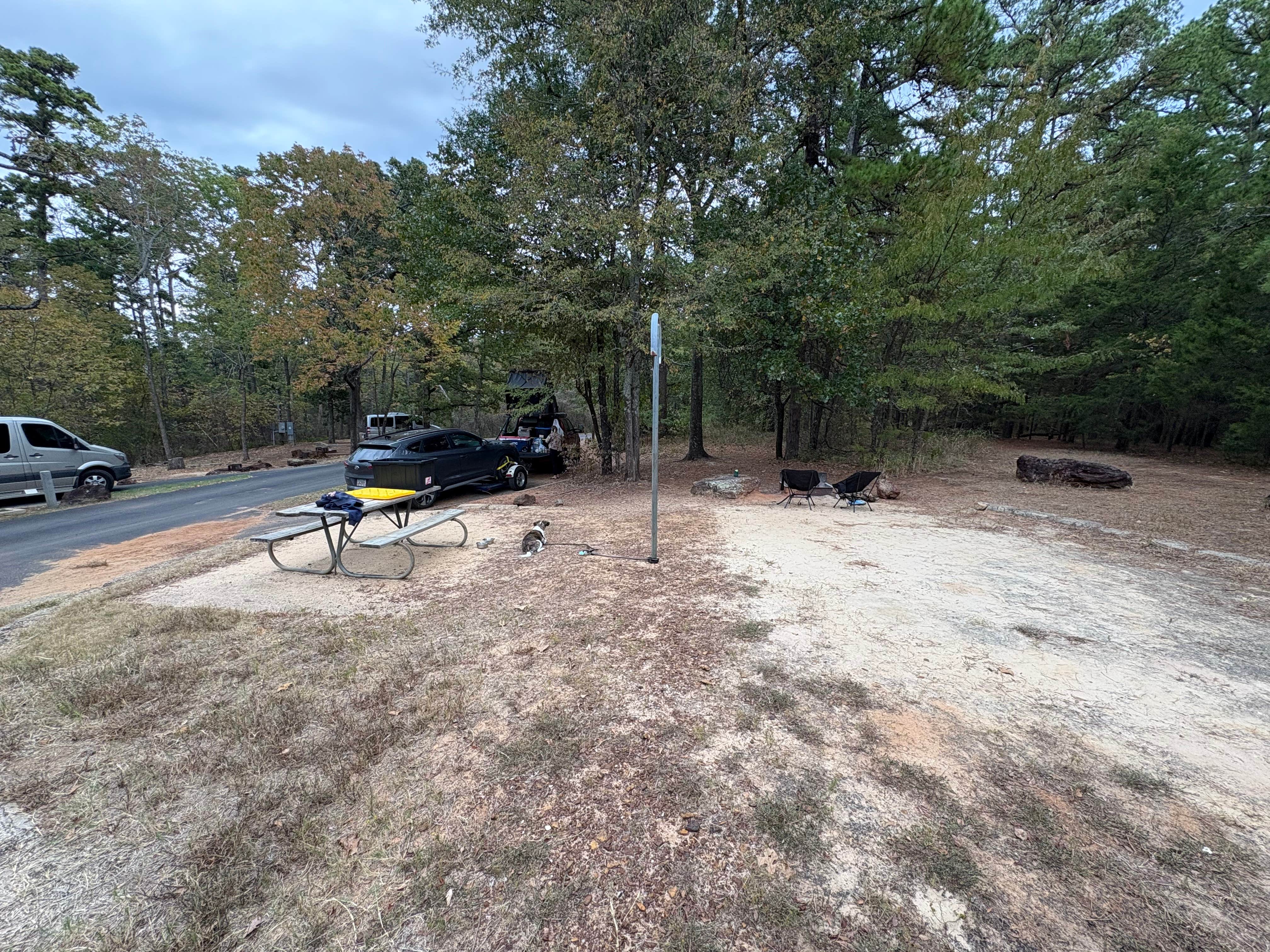 Jason D.'s photo of camping with pets at Tyler State Park Campground near Hawkins, TX