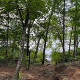 Review photo of Tyler State Park Campground by Bryan S., June 22, 2026