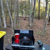 Review photo of Tyler State Park Campground by Jason D., October 25, 2025