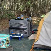 Review photo of Village Creek State Park Campground by Nancy K., November 21, 2025