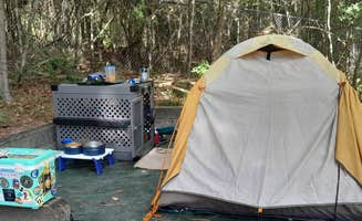 Nancy K.'s photo at Village Creek State Park Campground near Beaumont, TX