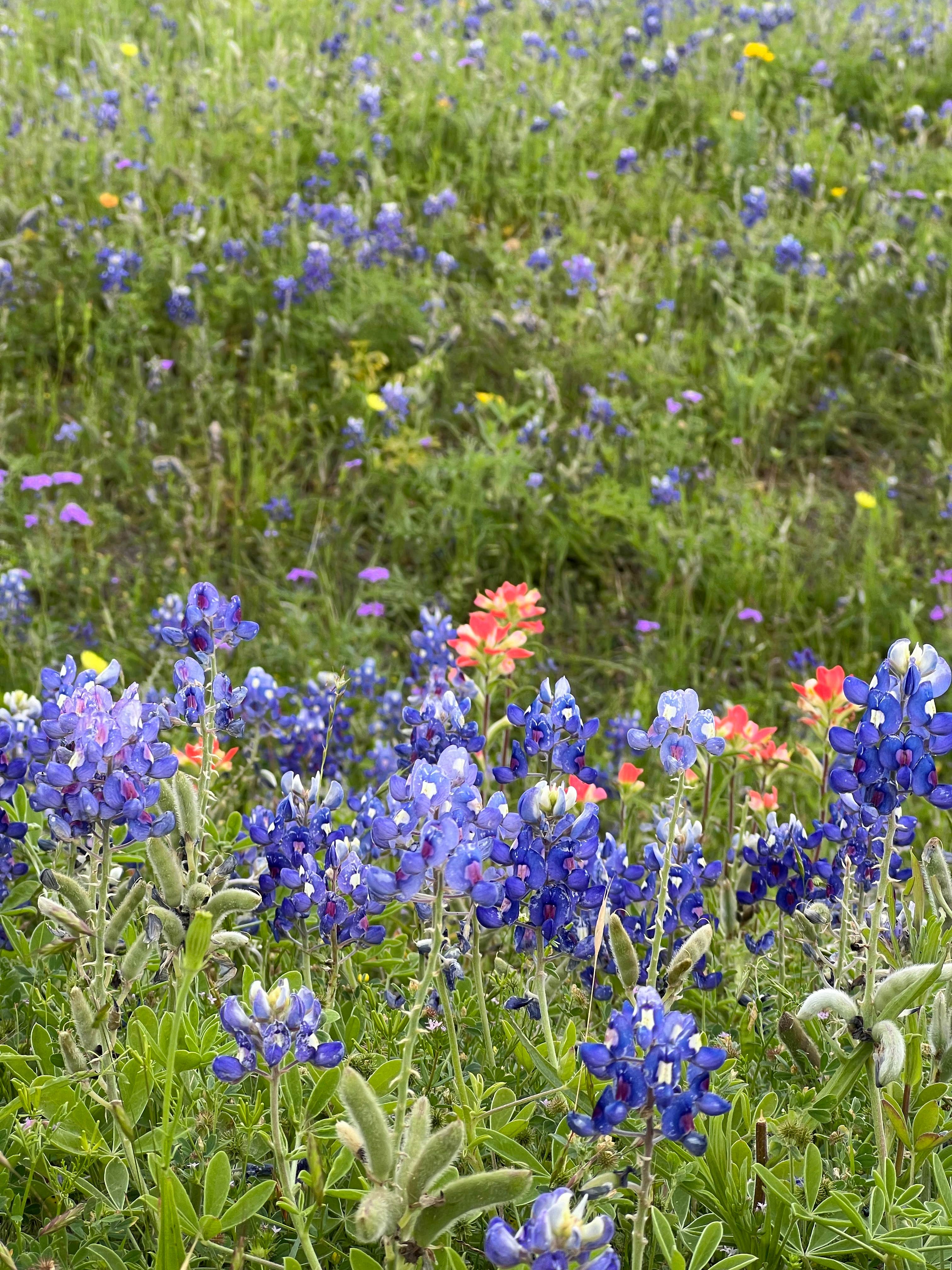 Camper-submitted photo at Wilson H Fox near Cameron, TX