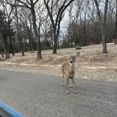 Review photo of Wind Point Park by Sydney F., March 9, 2026