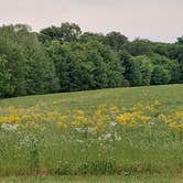 Review photo of The Art Farm Women’s Retreat by Sheri K., May 1, 2025