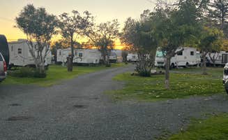 Carly B.'s photo of rv camping at The Aurora RV Park & Marina near Stonyford, CA