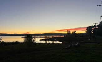 Carly B.'s photo of camping with pets at The Aurora RV Park & Marina near Potter Valley, CA