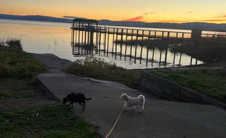 Carly B.'s photo of camping with pets at The Aurora RV Park & Marina near Potter Valley, CA