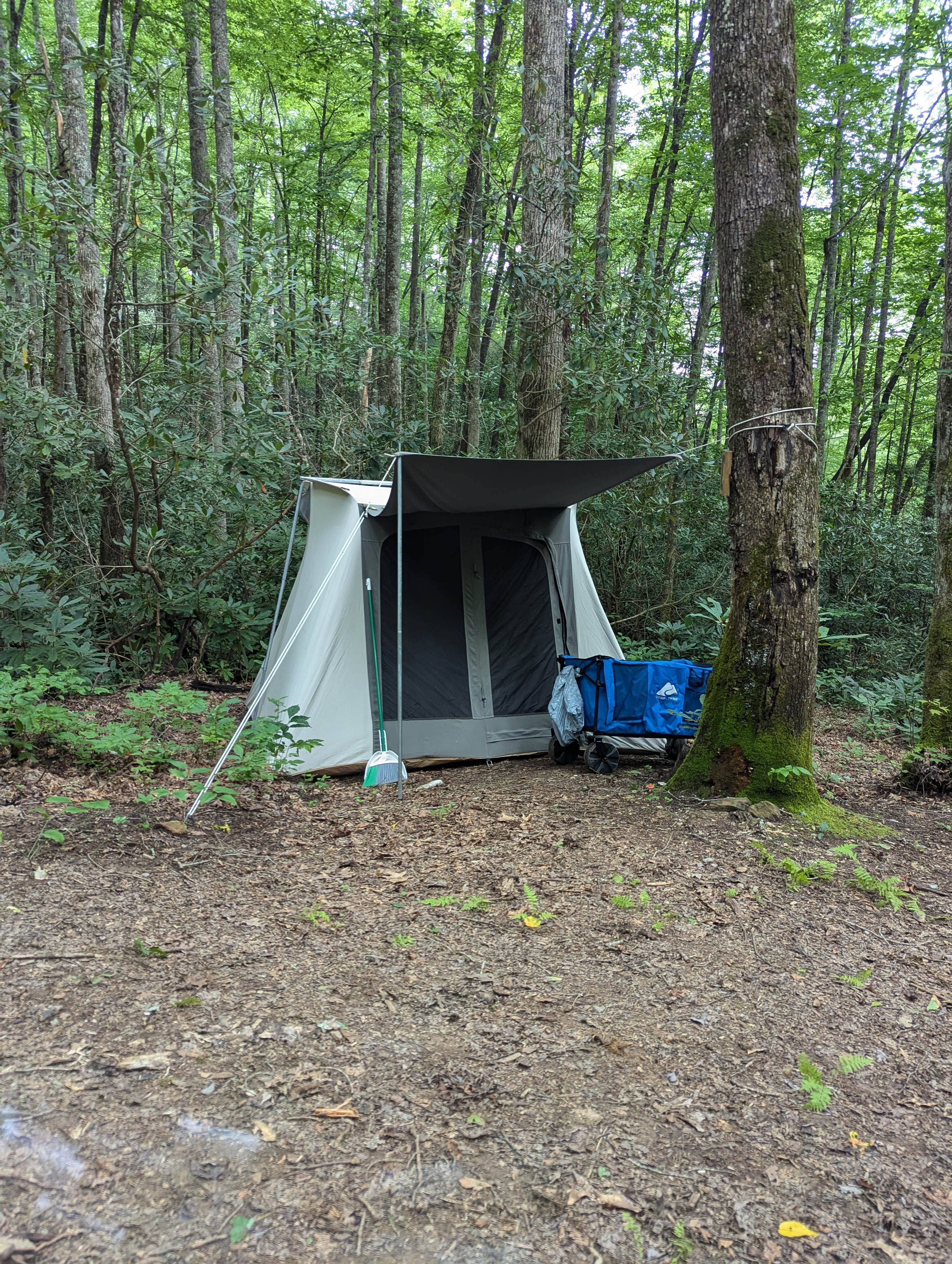 Kaleb B.'s photo of tent camping at Backside Campground at Nantahala near Murphy, NC