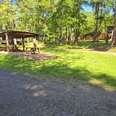 Review photo of The Bellefonte Campground by Clean Slate D., May 31, 2024