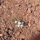 Review photo of The Box Recreation Area by Talon D., April 8, 2026