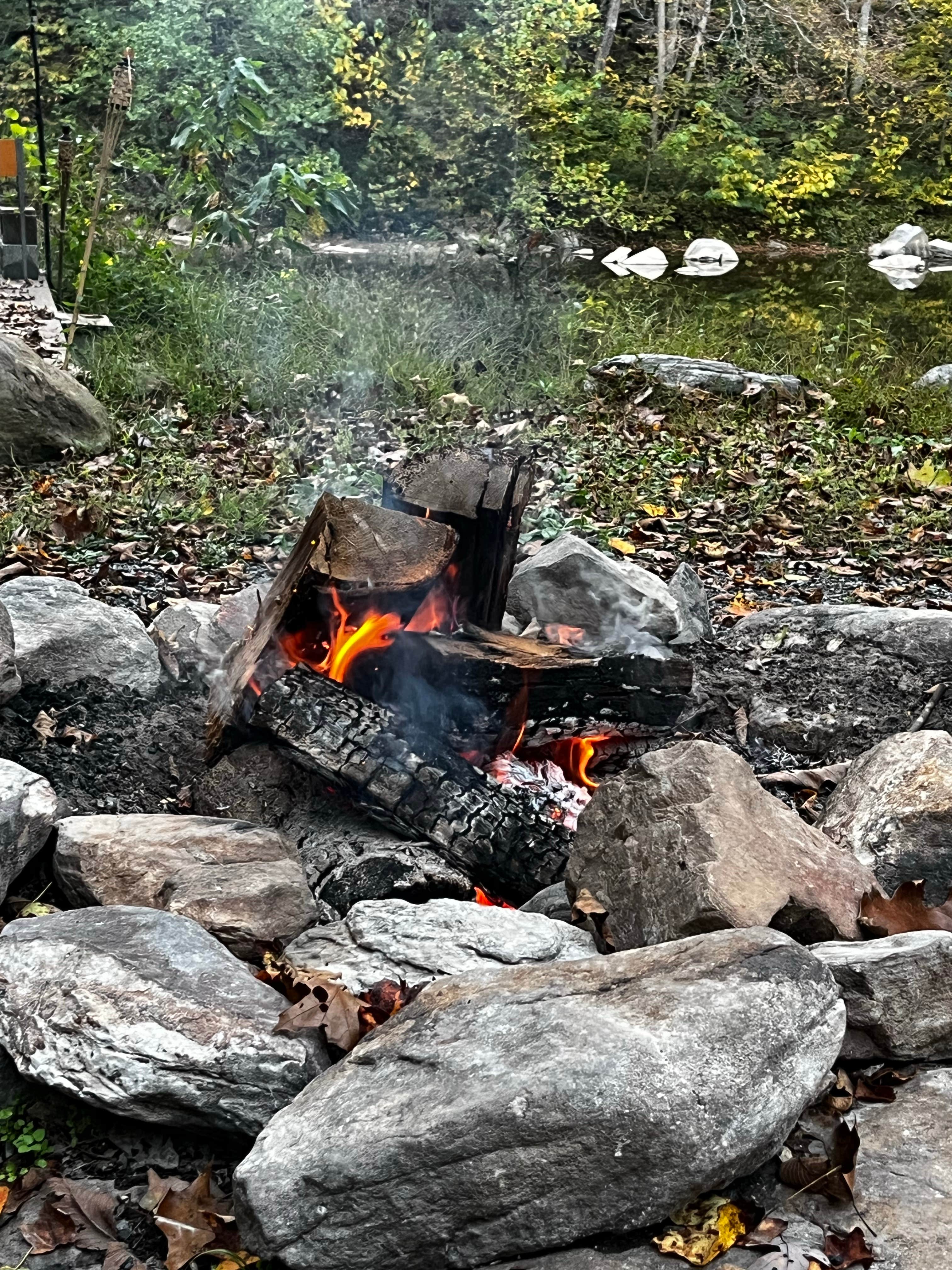 Camper submitted image from The Byrd’s Nest on the River - 1