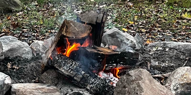 Camper submitted image from The Byrd’s Nest on the River