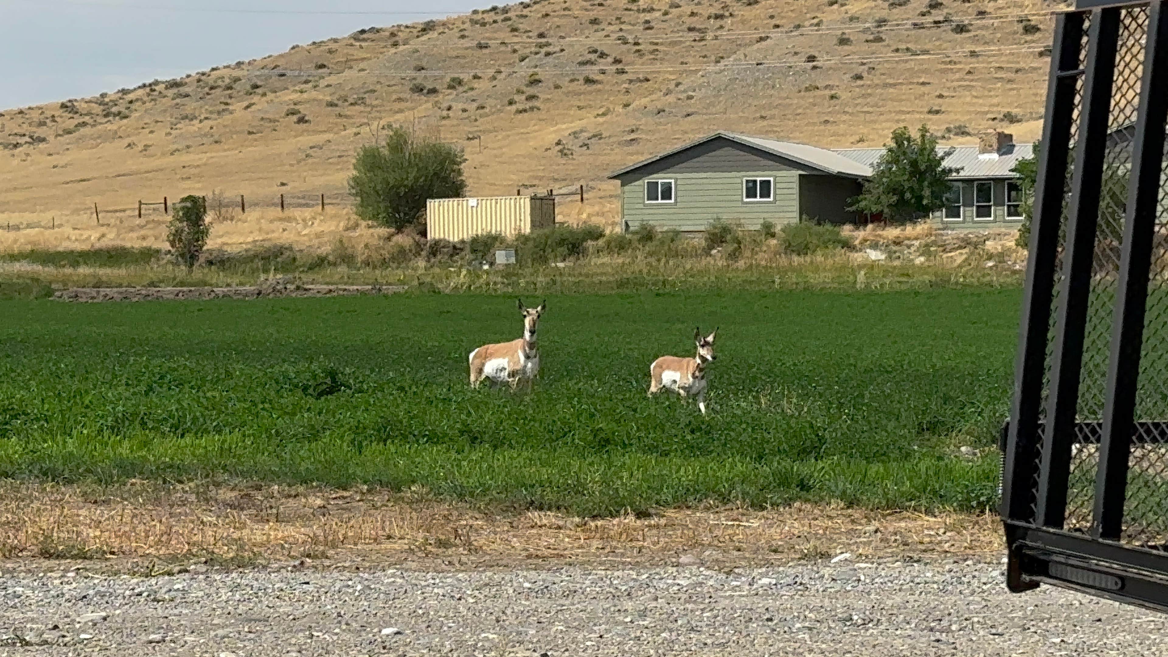 Camper-submitted photo at The Crippled Spider Campground near Lysite, WY