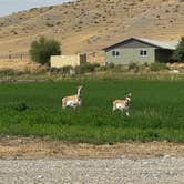 Review photo of The Crippled Spider Campground by Amy A., September 18, 2024