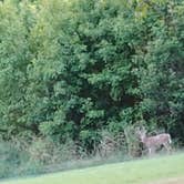 Review photo of The Dam Place General Store and Campground by Char H., August 22, 2026