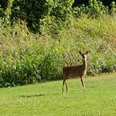 Review photo of The Dam Place General Store and Campground by Char H., August 22, 2026