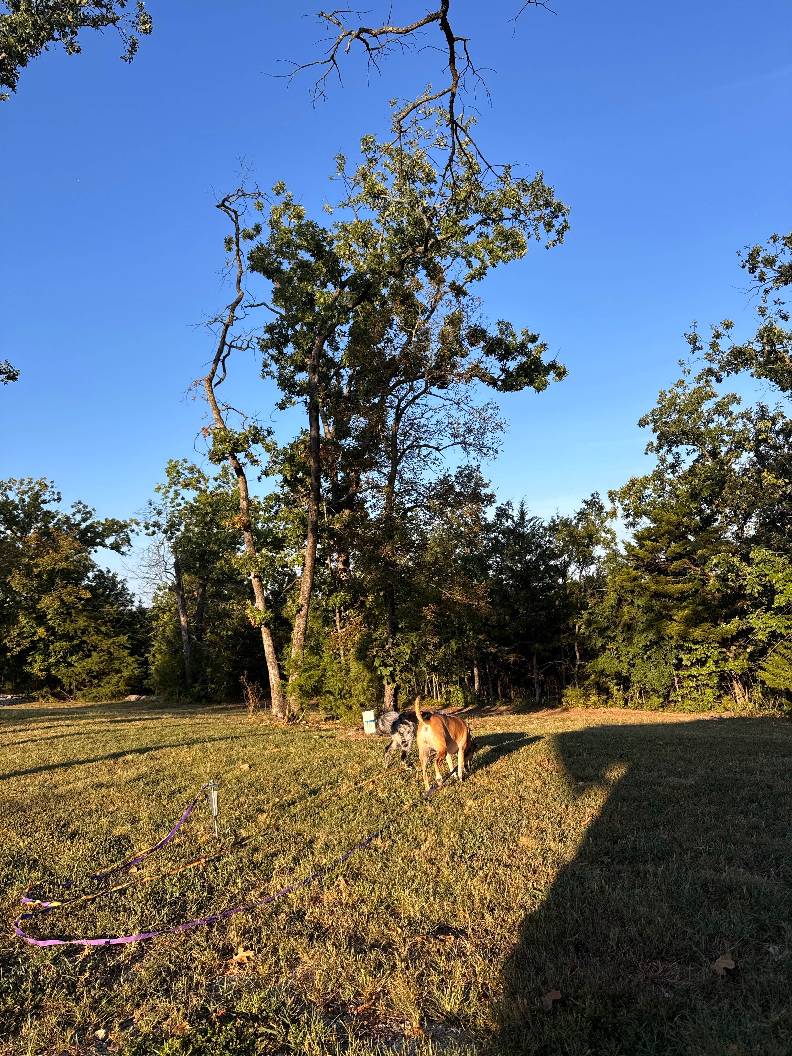 Camper-submitted photo at The Embers Glamping and RV Resort near Ridgedale, MO