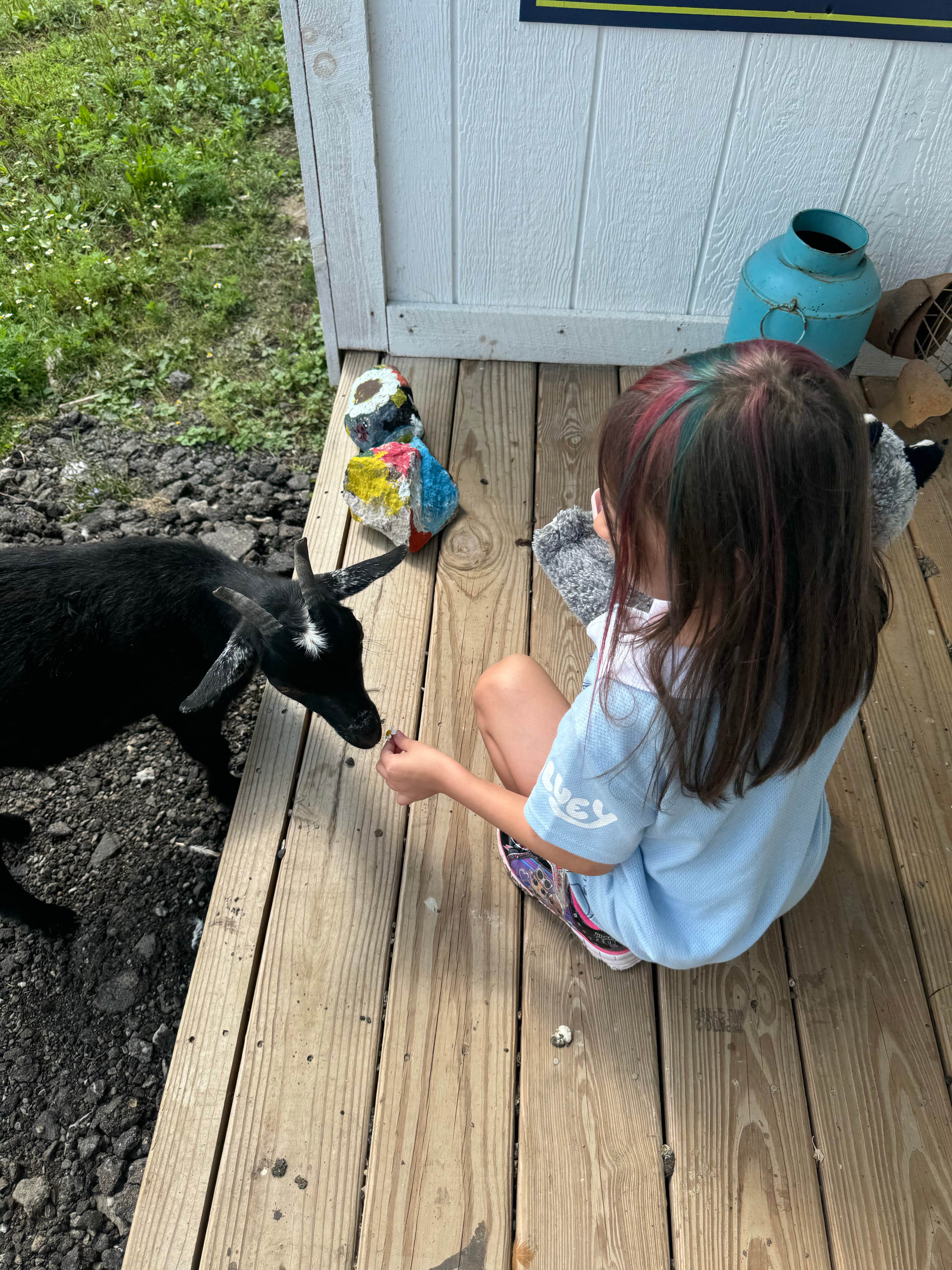 Camper submitted image from The Farm at Grand River - 4