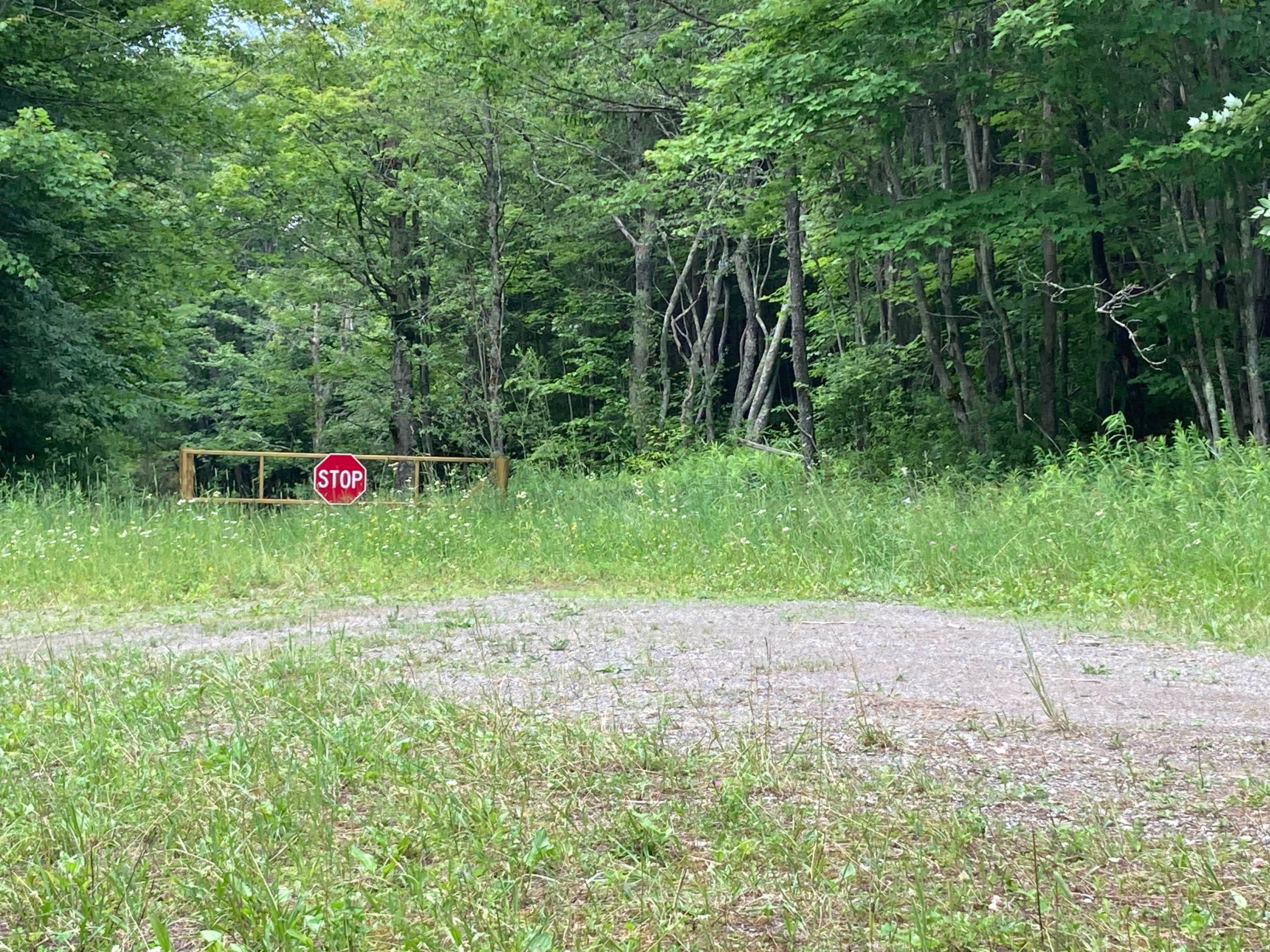 Camper-submitted photo at Pharsalia Woods State Forest Dispersed near Syracuse, NY