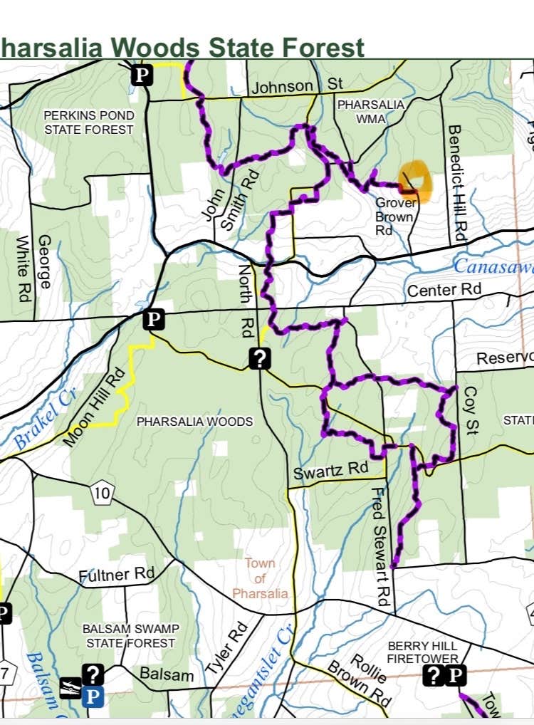 Camper-submitted photo at Pharsalia Woods State Forest Dispersed near Syracuse, NY