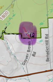 Camper-submitted photo at Pharsalia Woods State Forest Dispersed near Syracuse, NY