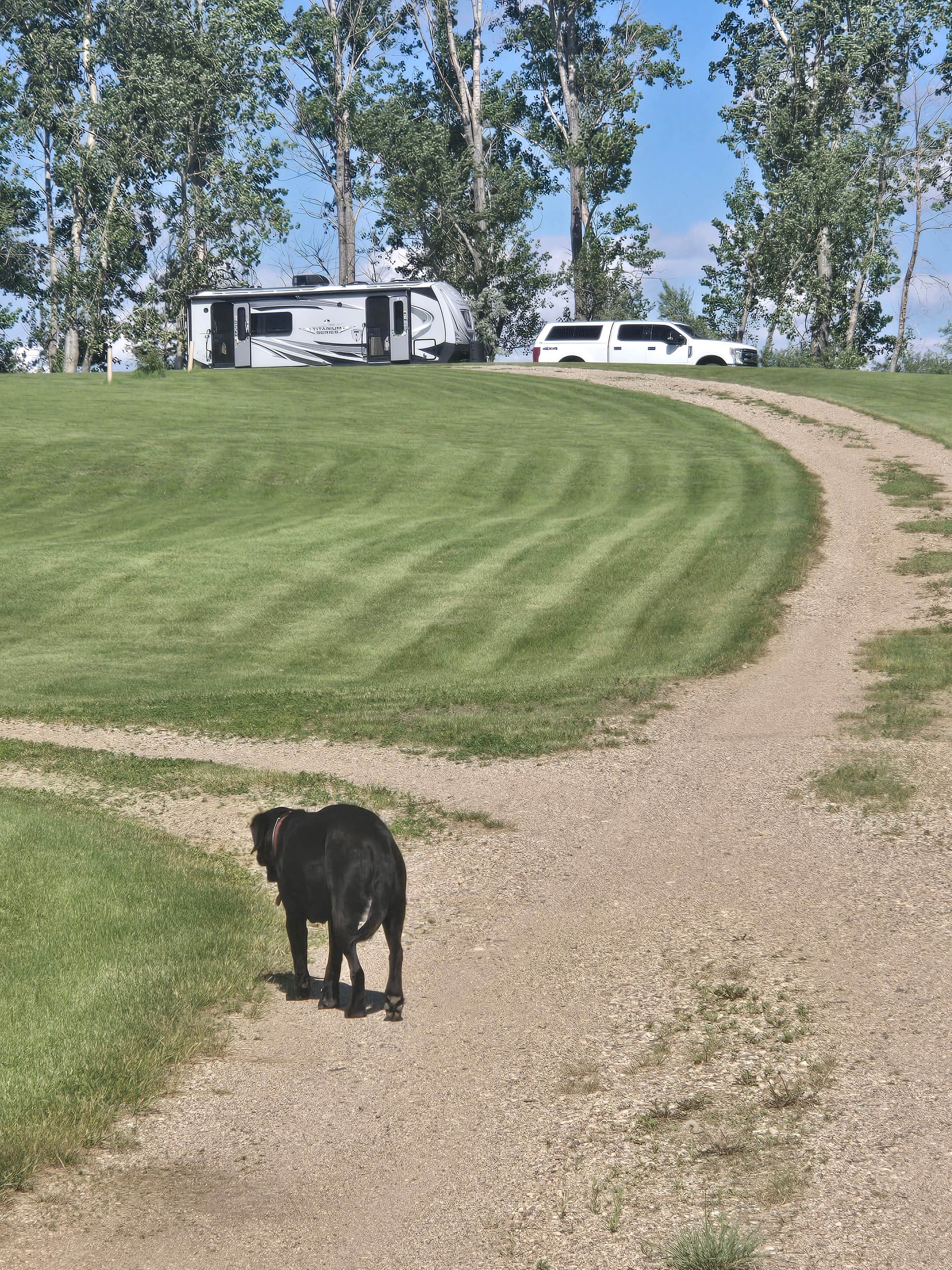 Tia L.'s photo of rv camping at The Haven Campground near Towner, ND