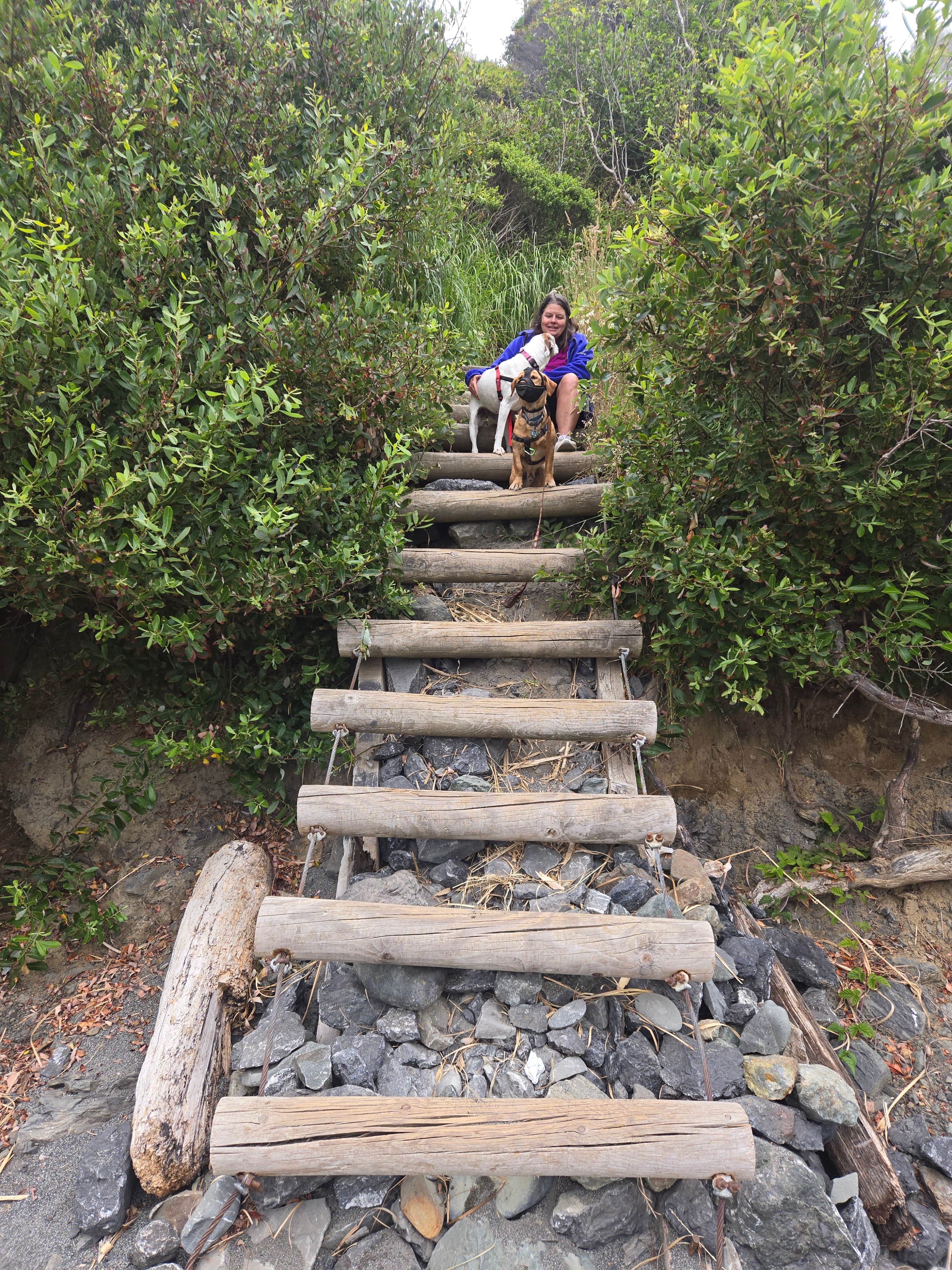 Camper-submitted photo at The Heights Casino RV Lot near McKinleyville, CA