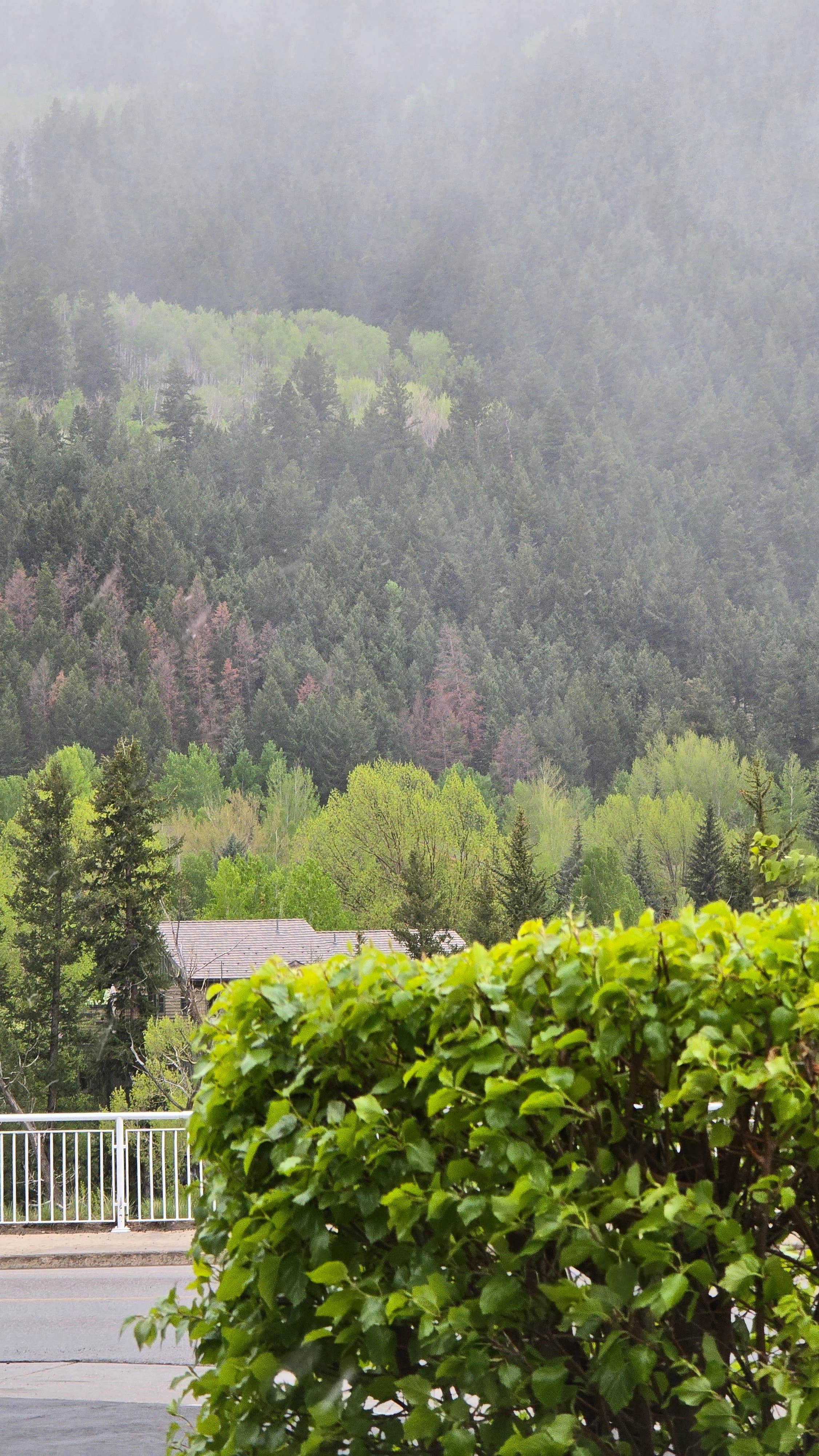 The Home Depot — Avon/Vail