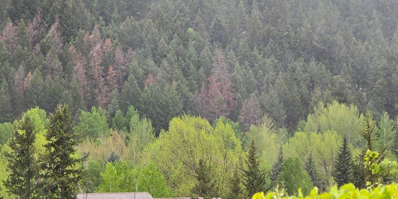 Camper submitted image from The Home Depot — Avon/Vail