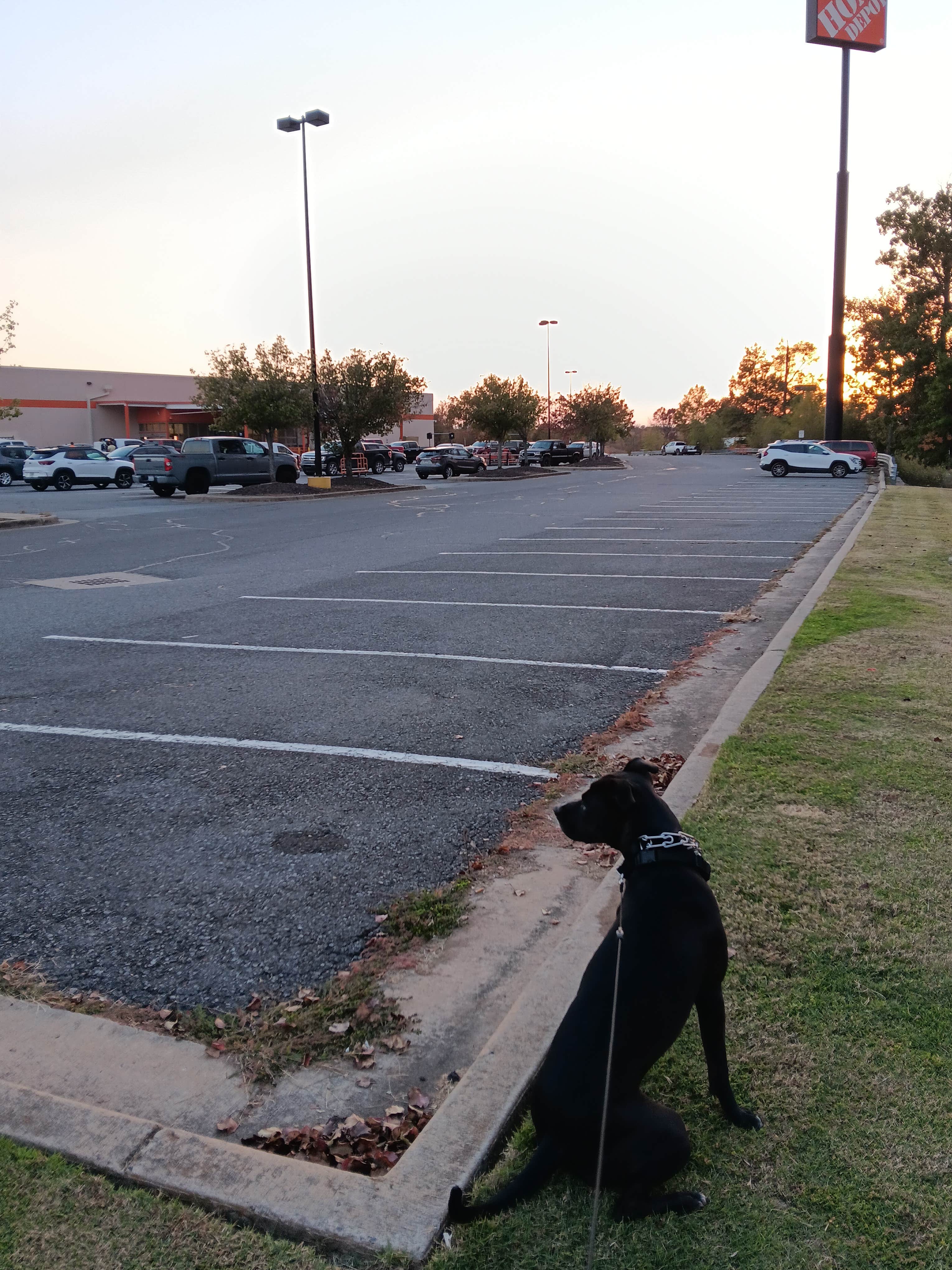 Alice S.'s photo of camping with pets at The Home Depot — Cabot near Cabot, AR