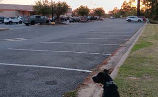 Alice S.'s photo of camping with pets at The Home Depot — Cabot near Cabot, AR
