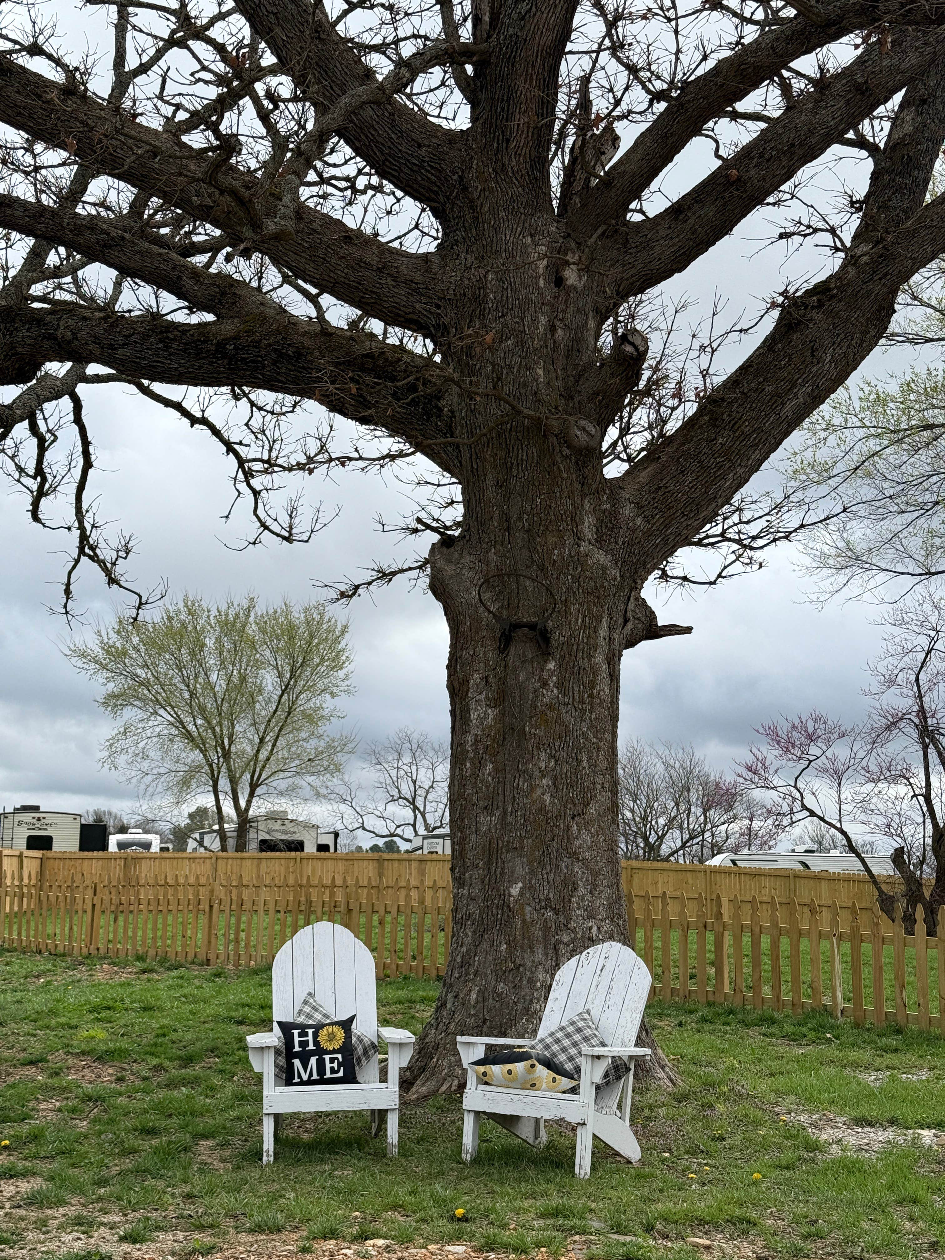 Camper-submitted photo at The Hook Up RV Park near Strafford, MO