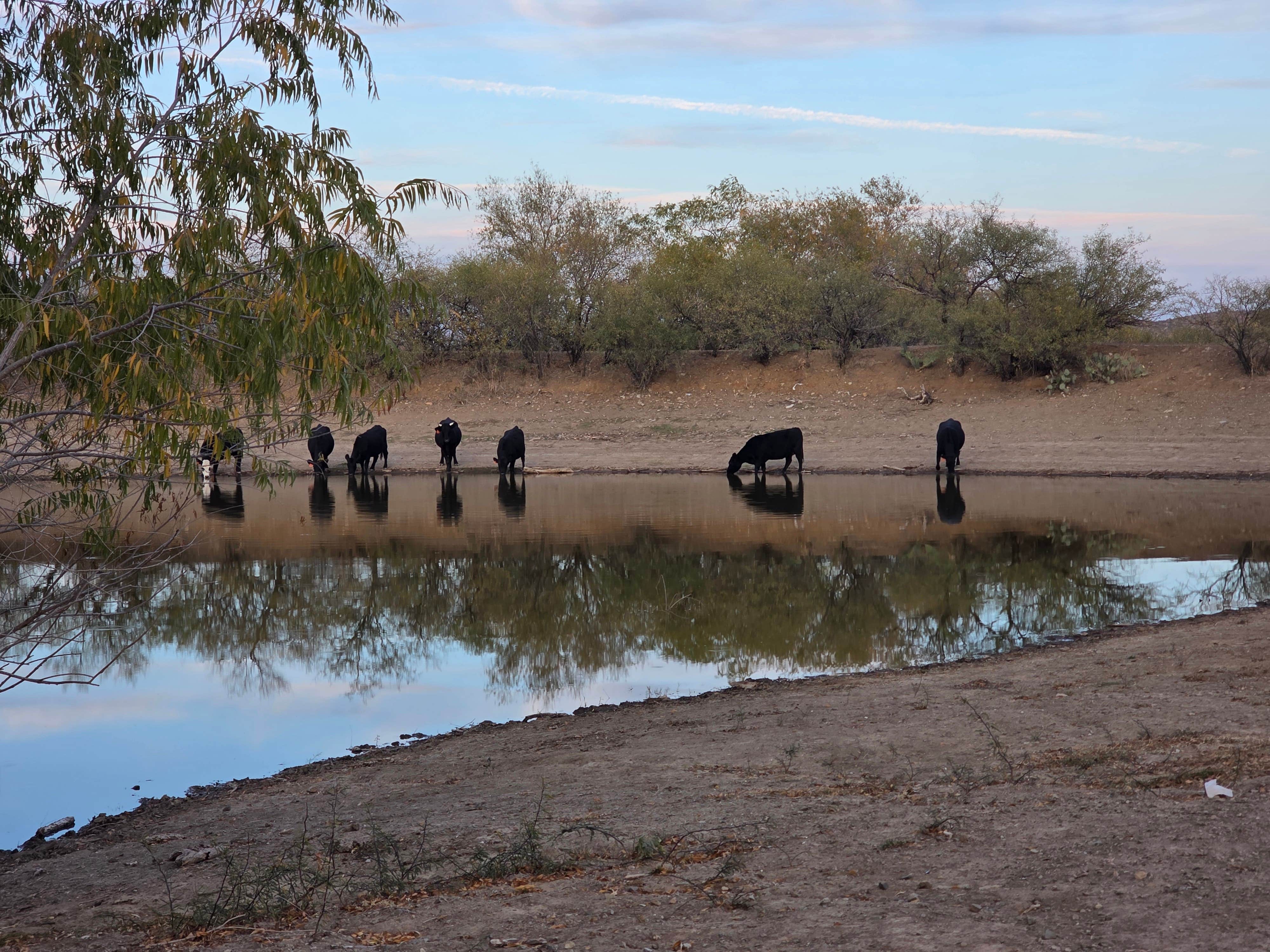 Camper-submitted photo at The Lake - Dispersed Camping near Tucson, AZ