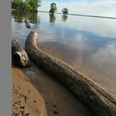 Review photo of The Lakeshore Campground — Santee State Park by Cheryl D., April 25, 2026