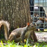 Review photo of Thousand Trails The Oaks at Point South by Richard B., August 9, 2026