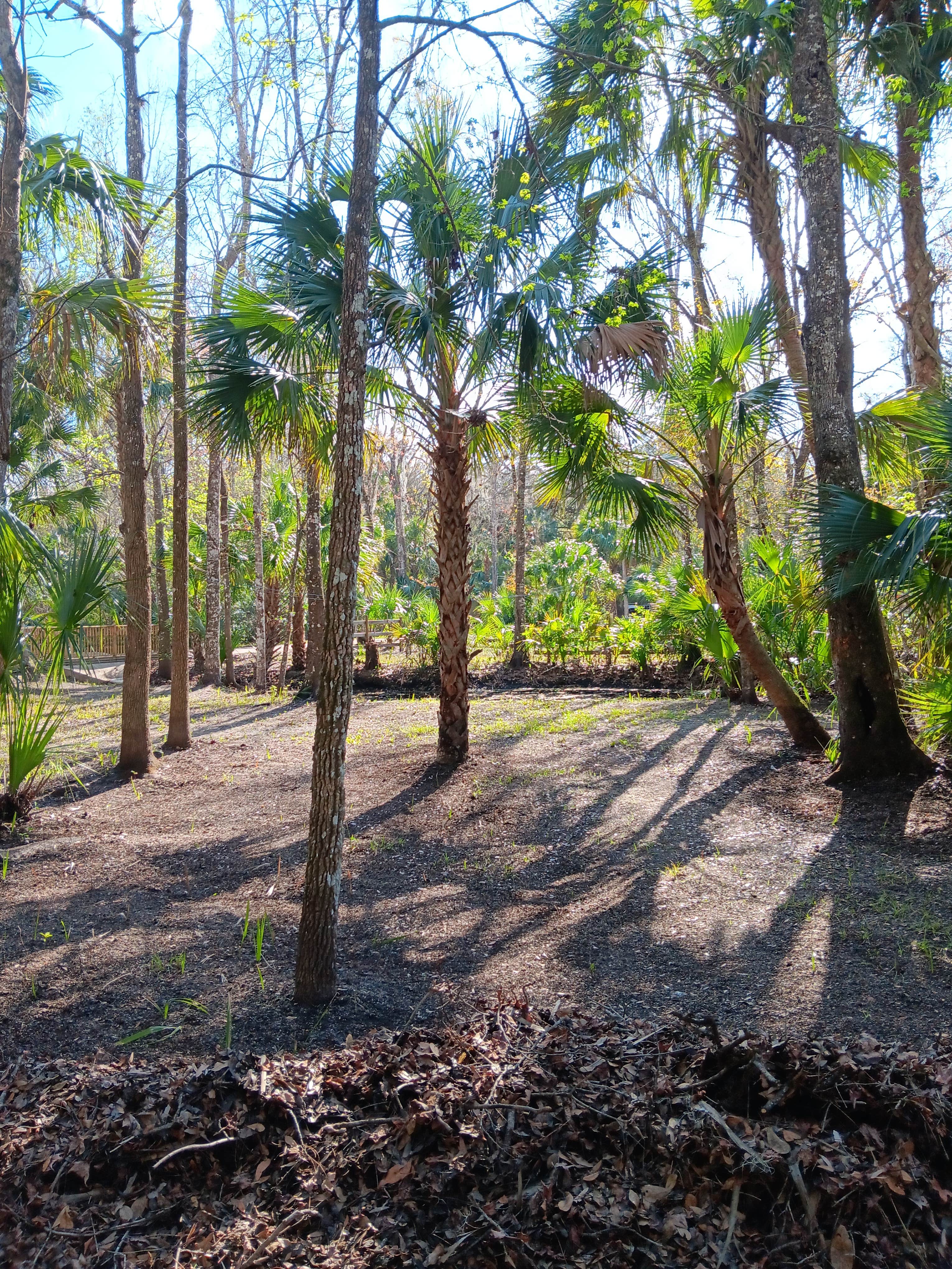 Camper submitted image from River Oaks RV Campground & Retreat - 4
