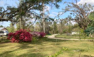 Camping near Tallahassee East Campground: The Oaks RV Park LLC , Mayo, Florida