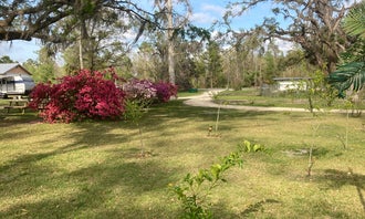 Camping near Tallahassee East Campground: The Oaks RV Park LLC , Mayo, Florida