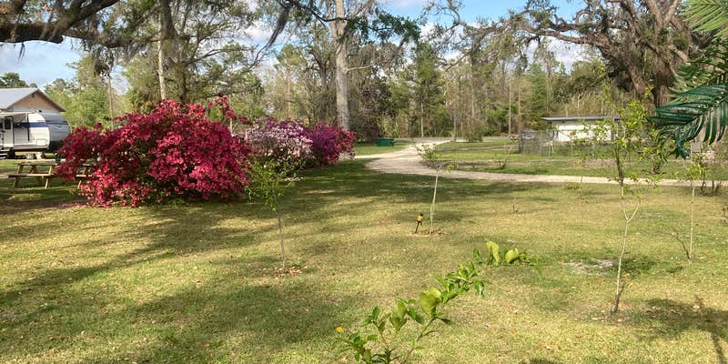 Camper submitted image from The Oaks RV Park LLC