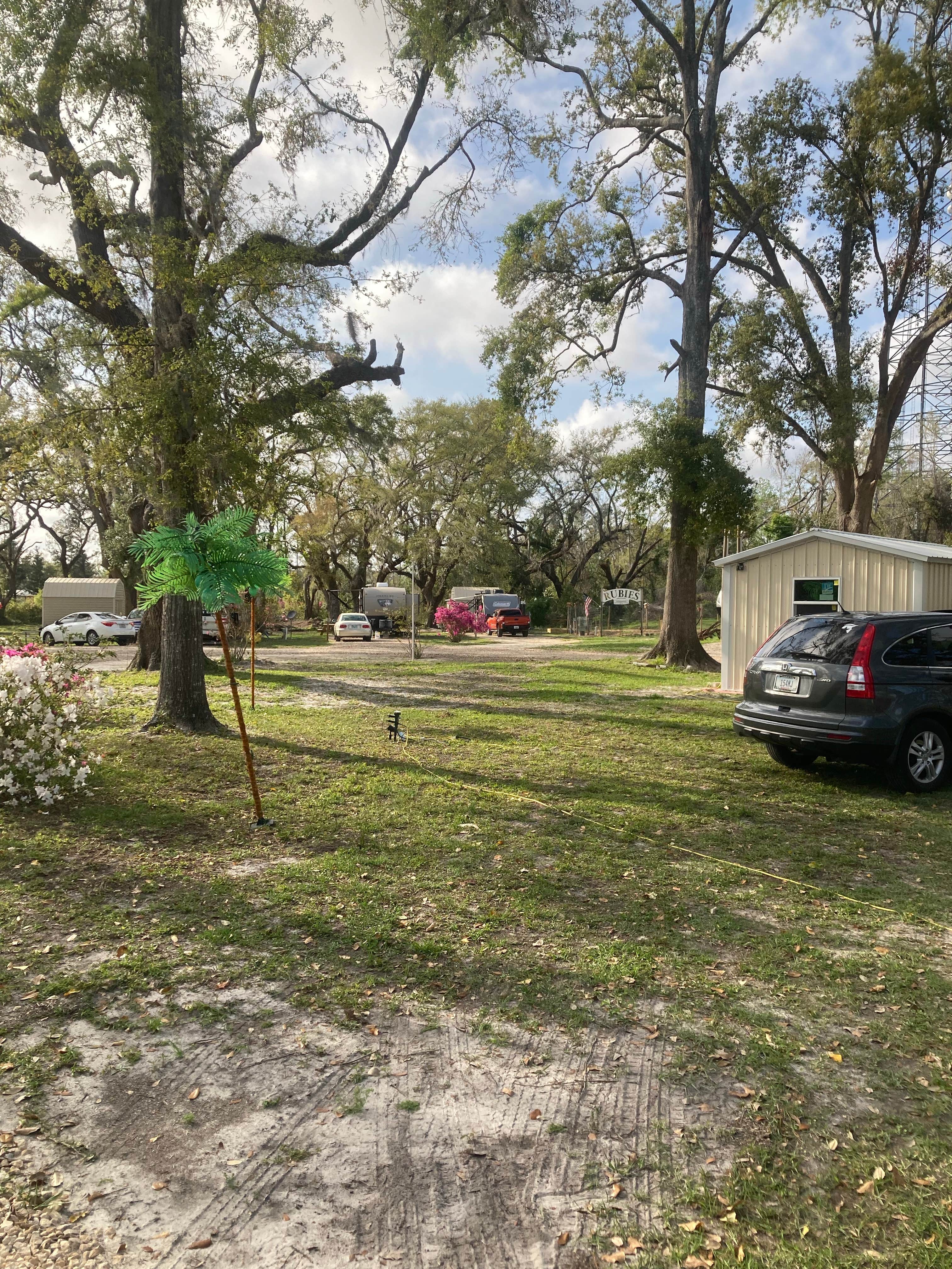 Camper-submitted photo at The Oaks RV Park LLC near Wacissa, FL