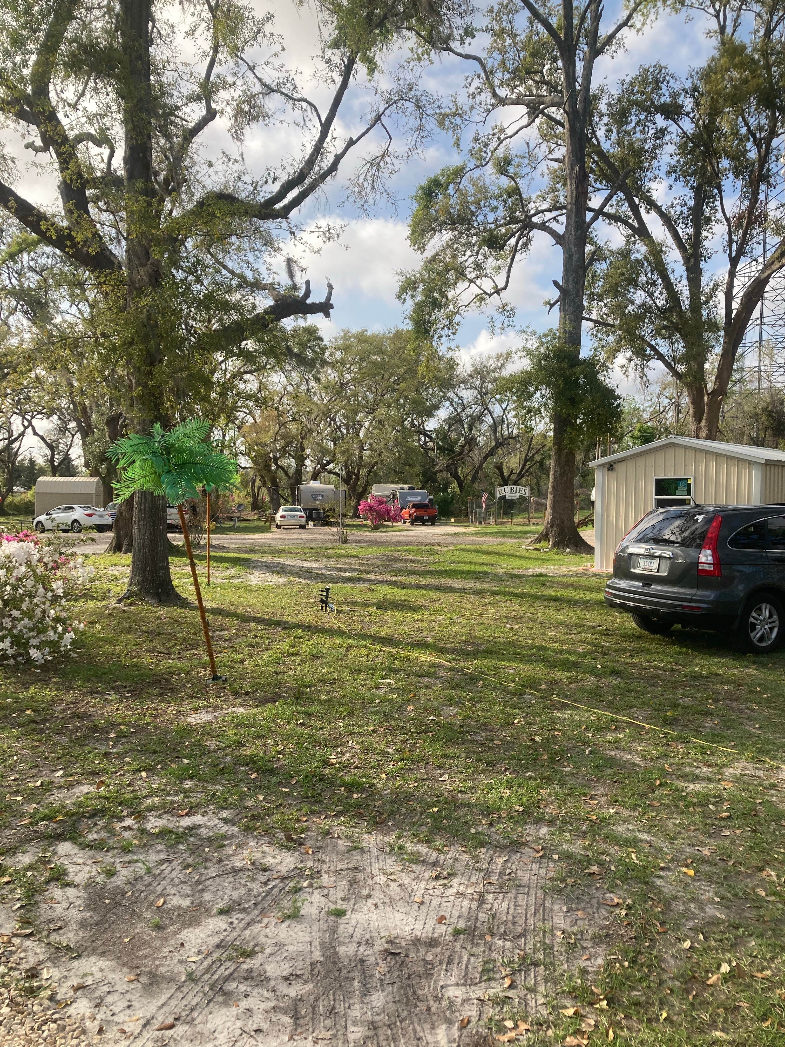 Camper submitted image from The Oaks RV Park LLC - 3