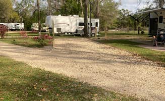 Wendy T.'s photo of rv camping at The Oaks RV Park LLC near Mayo, FL