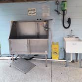 Review photo of Suwannee River Bend RV Park by liz S., August 7, 2025