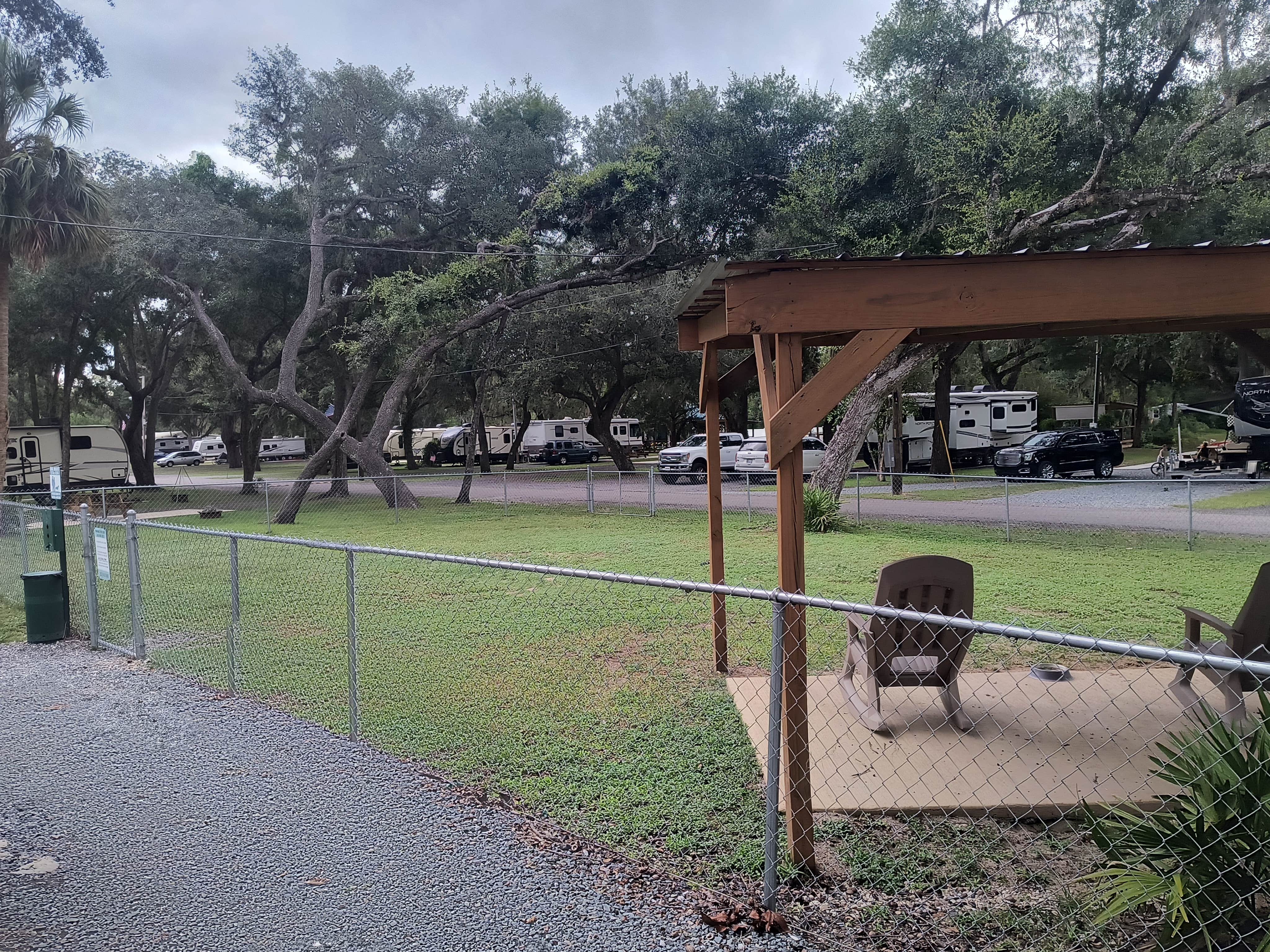 Camper-submitted photo at Suwannee River Bend RV Park near Trenton, FL