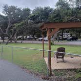 Review photo of Suwannee River Bend RV Park by liz S., August 7, 2025